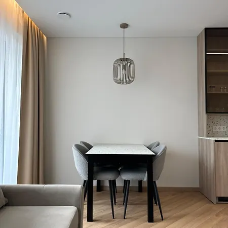 Apartment Modern Retreat I I Wifi Included I By Cohost Palanga